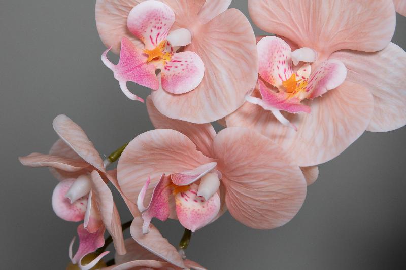 Orchidee Bloem Perzik Phalaenopsis Spray Met Bladeren - Set van 12 78x28x17 cm