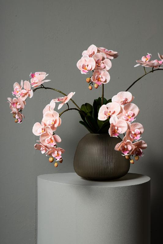 Orchidee Bloem Perzik Phalaenopsis Spray Met Bladeren - Set van 12 78x28x17 cm