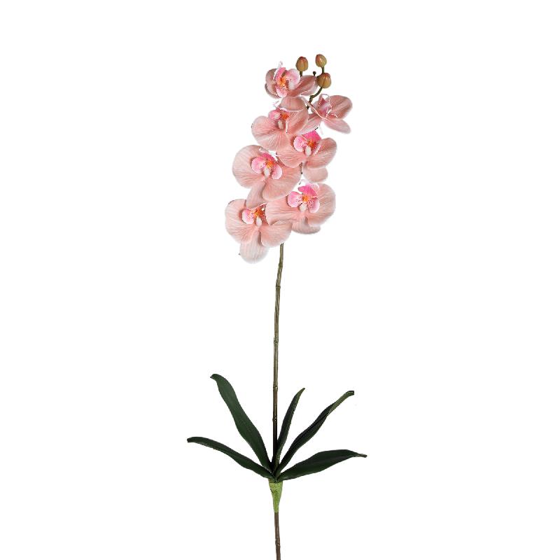 Orchidee Bloem Perzik Phalaenopsis Spray Met Bladeren - Set van 12 78x28x17 cm