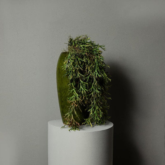 Leaves Plant Groen Hangende Bladeren Spray - Set van 12 109x84x25 cm