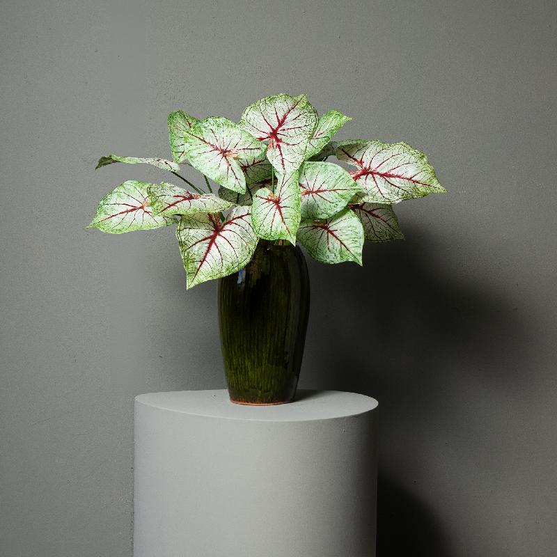 Leaves Plant Lichtgroen Caladium Bladbos - Set van 12 53x45x35 cm