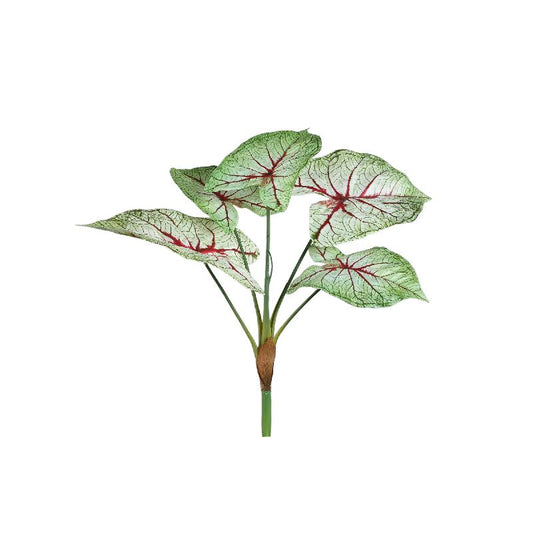 Leaves Plant Lichtgroen Caladium Bladbos - Set van 12 53x45x35 cm