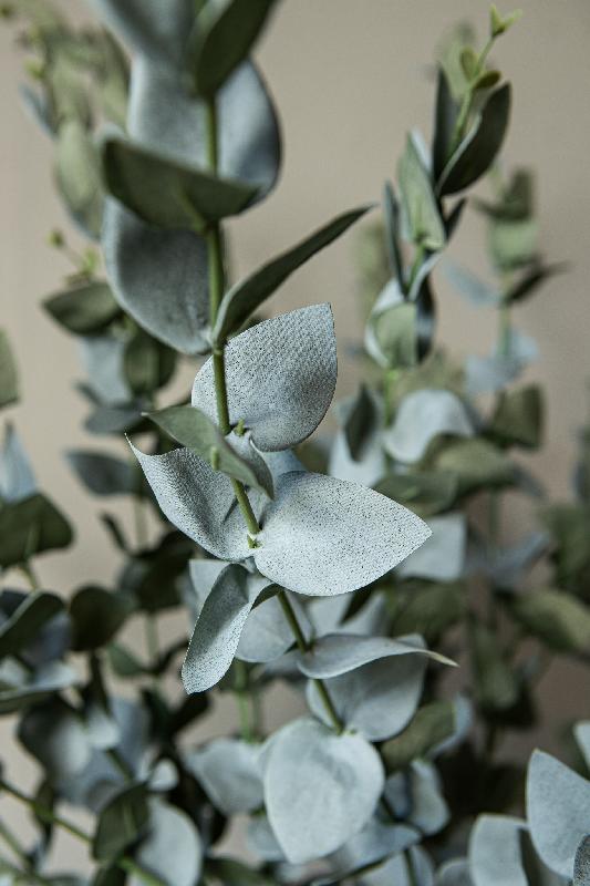 Leaves Plant Groen Eucalyptus Spray - Set van 12 120x70x30 cm
