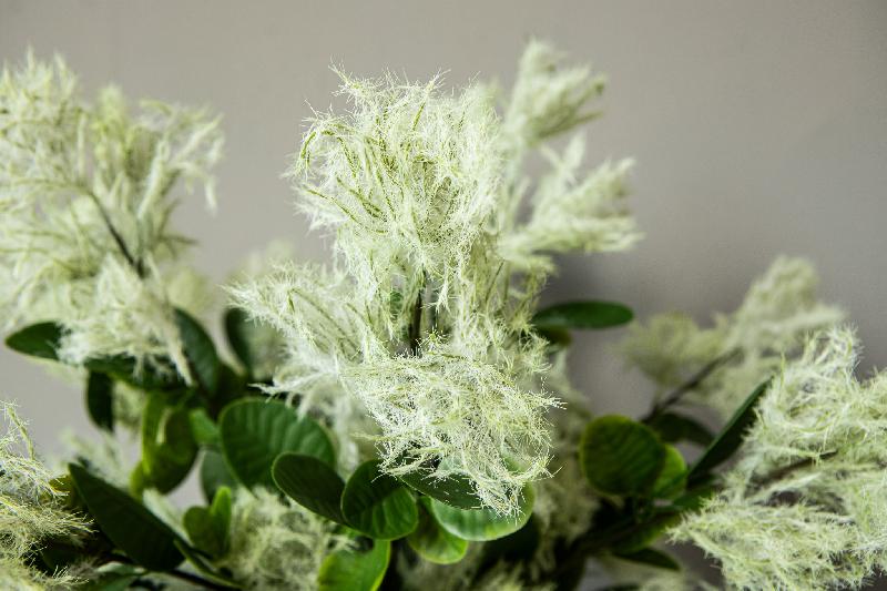 Twig Plant Groene Cotinus Tak - Set van 12 76x39x29 cm