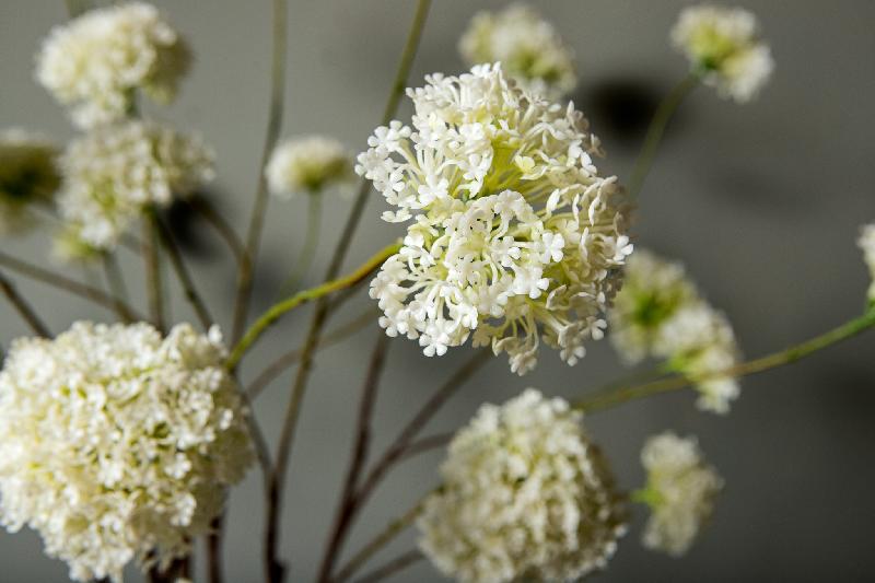 Twig Plant Witte Angelica Bloemenspray - Set van 12 112x61x32 cm