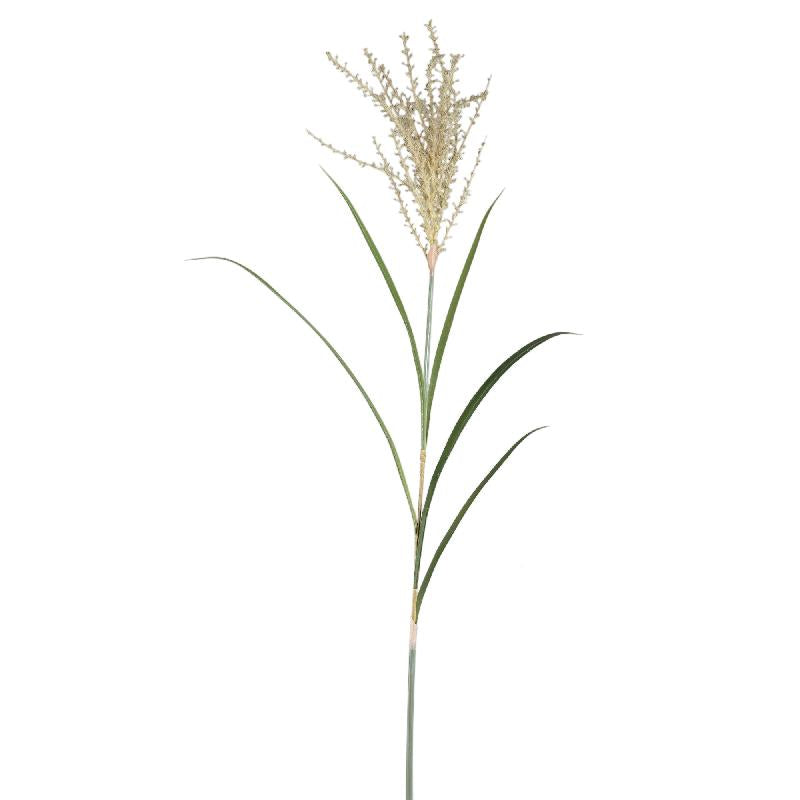 Grass Plant Natuurlijk Hangende Pampasgras Spray L - Set van 12 Stuks 128x84x50 cm