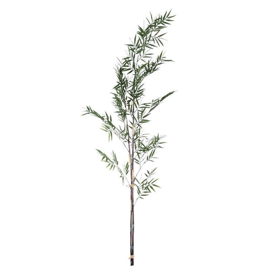 Grass Plant Groen Bamboe Spray - Set van 6 Stuks 180x143x57 cm