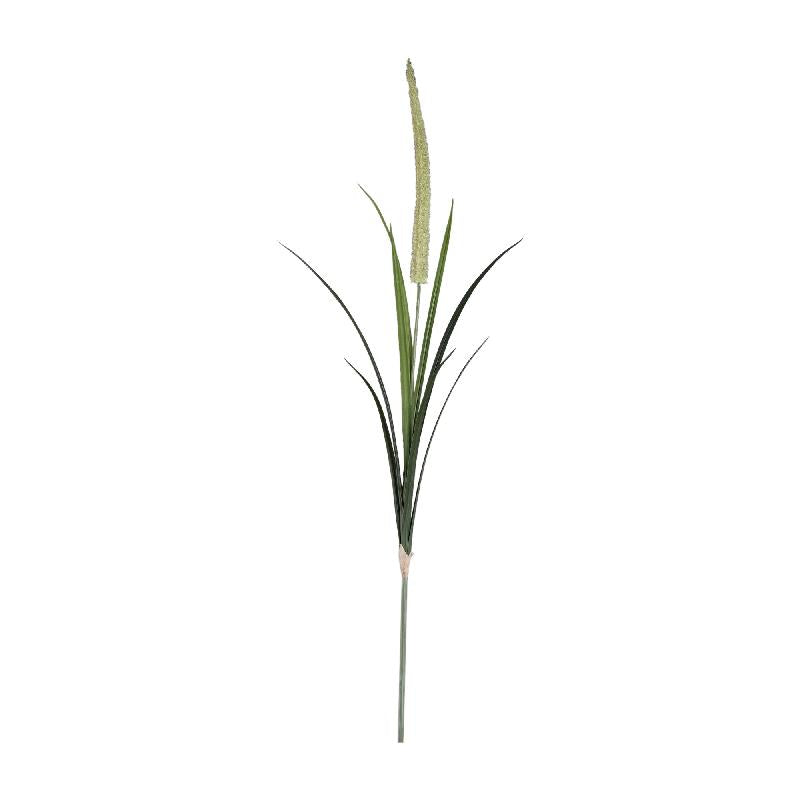 Grass Plant Groen Pampasgrass Spray - Set van 12 145x73x34 cm