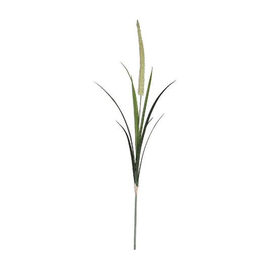 Grass Plant Groen Pampasgrass Spray - Set van 12 145x73x34 cm