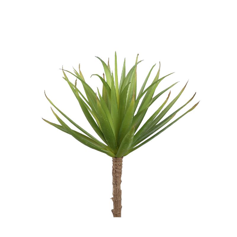 Succulent Plant Groene Yucca Pick - Set van 12 Stuks 20x11x14 cm