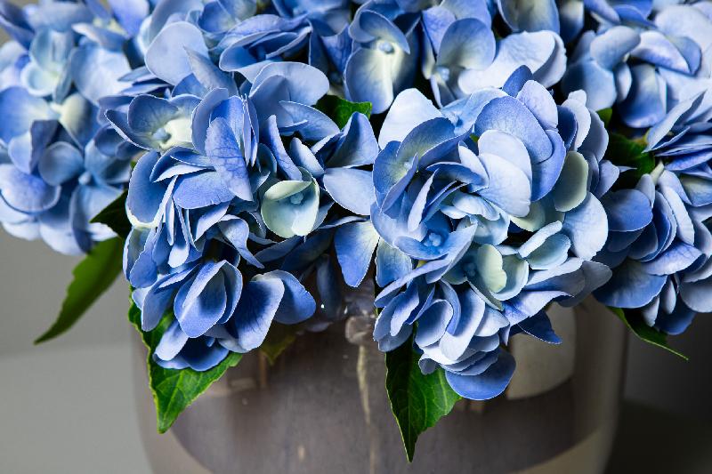 Hydrangea Bloem Blauwe Hydrangea Tak - Set van 12 33x16x21 cm