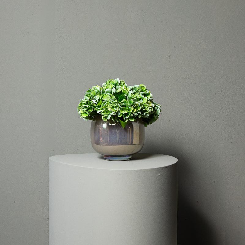 Hydrangea Flower Groene Hortensia Tak - Set van 12 33x16x21 cm
