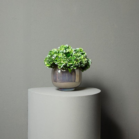 Hydrangea Flower Groene Hortensia Tak - Set van 12 33x16x21 cm