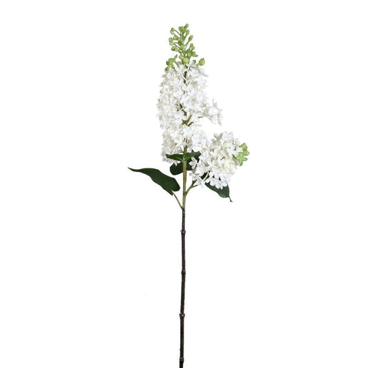 Garden Flower Witte Seringentak - Set van 12 73x32x20 cm