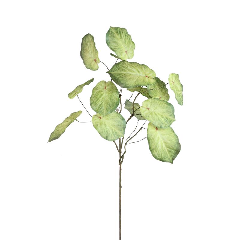 Leaves Plant Groen Caladium Spray - Set van 12 84x48x37 cm