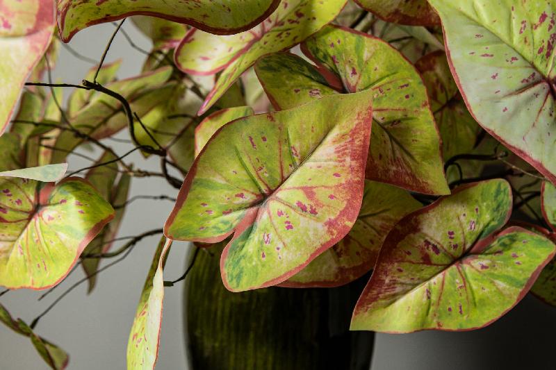 Leaves Plant Groen Rode Caladium Spray Set van 12 Stuks 84x48x37 cm