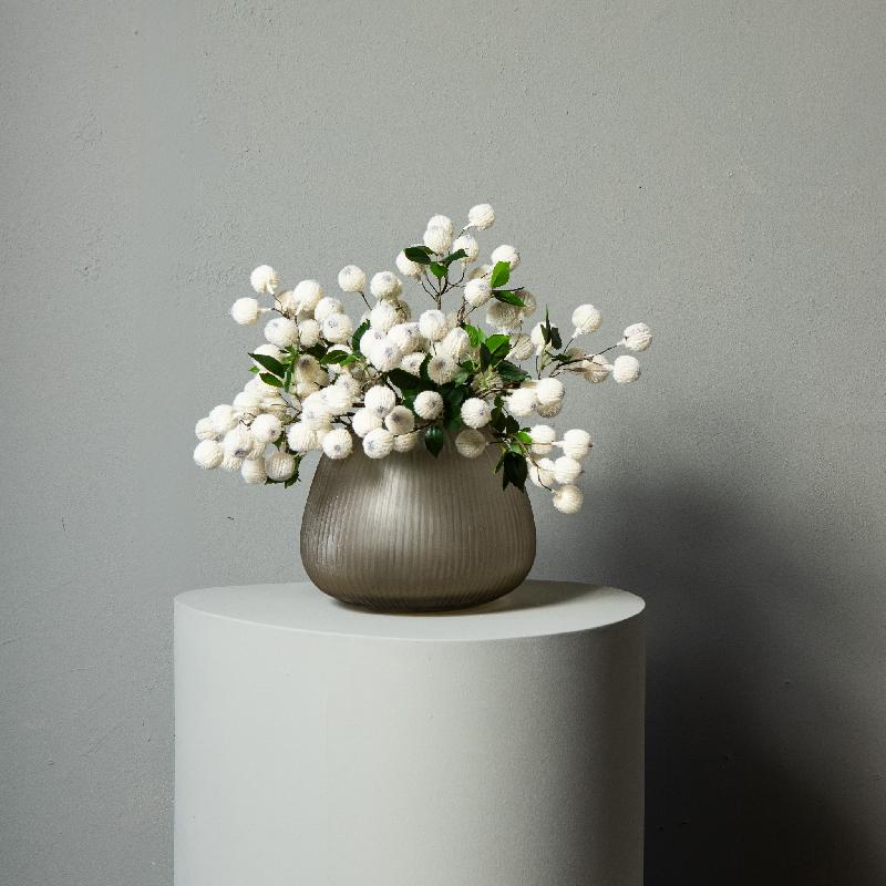 Twig Plant Wit Xylia Fruit Spray - Set van 12 55x26x18 cm