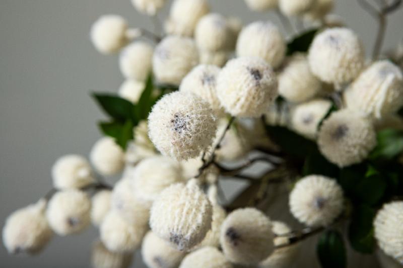 Twig Plant Wit Xylia Fruit Spray - Set van 12 55x26x18 cm