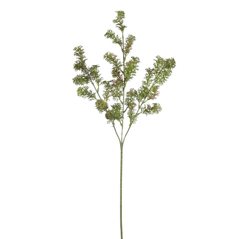 Grass Plant Groen Koraal Grassprays - Set van 12 67x35x32 cm