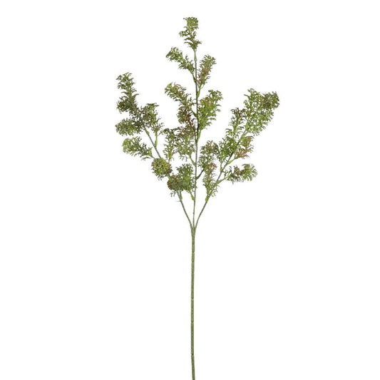 Grass Plant Groen Koraal Grassprays - Set van 12 67x35x32 cm
