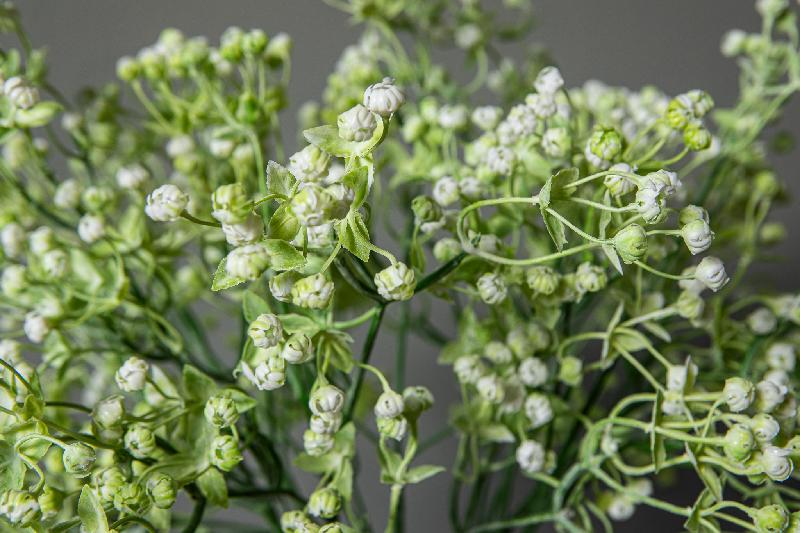 Twig Plant Witte Gypsophila Spray Set van 12 Stuks 63x23x23 cm