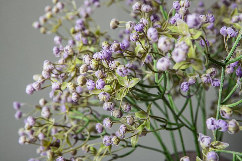 Twig Plant Paarse Gypsophila Spray - Set van 12 63x23x23 cm