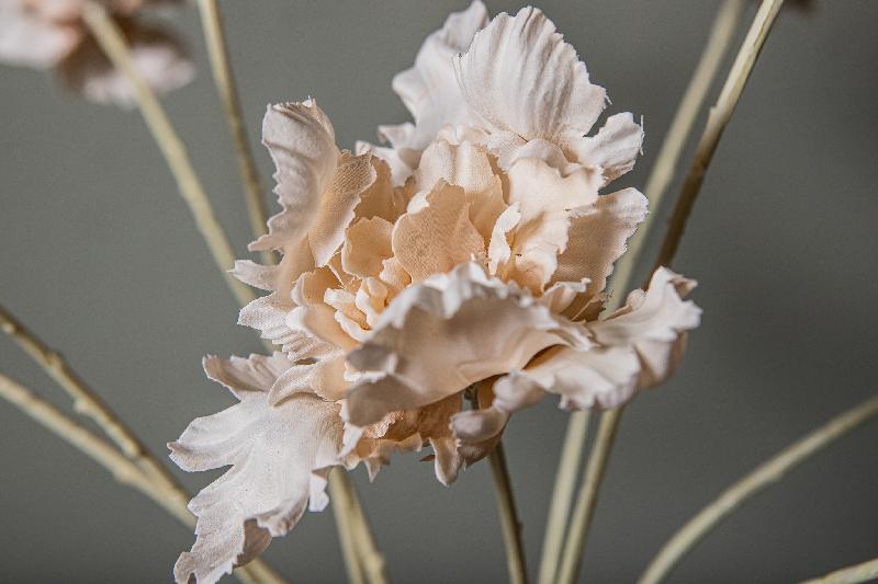 Tulip Flower Crème Spider Tulp Stengel - Set van 12 66x7x15 cm