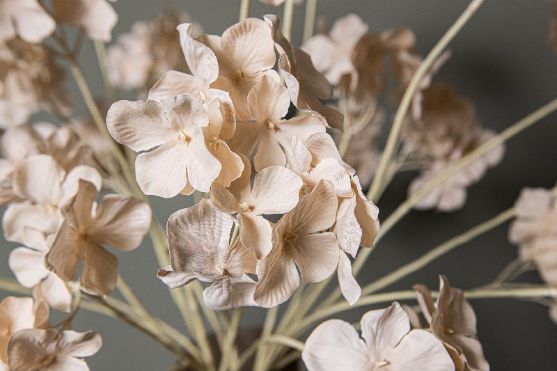 Hydrangea Flower Crème Hortensia Spray - Set van 12 78x43x28 cm