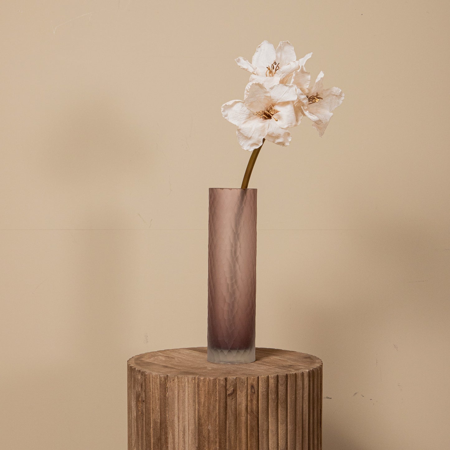 Amaryllis Bloem Crème Amaryllis Tak - Set van 12 65x18x19 cm