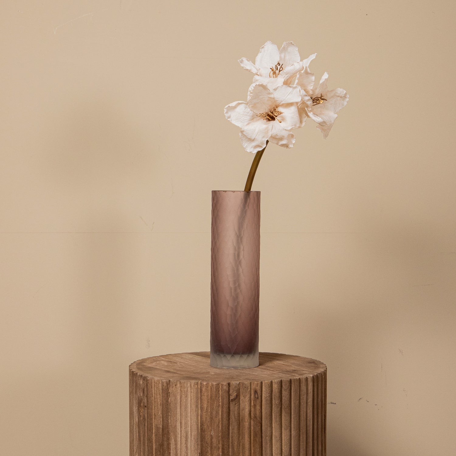 Amaryllis Bloem Crème Amaryllis Tak - Set van 12 65x18x19 cm