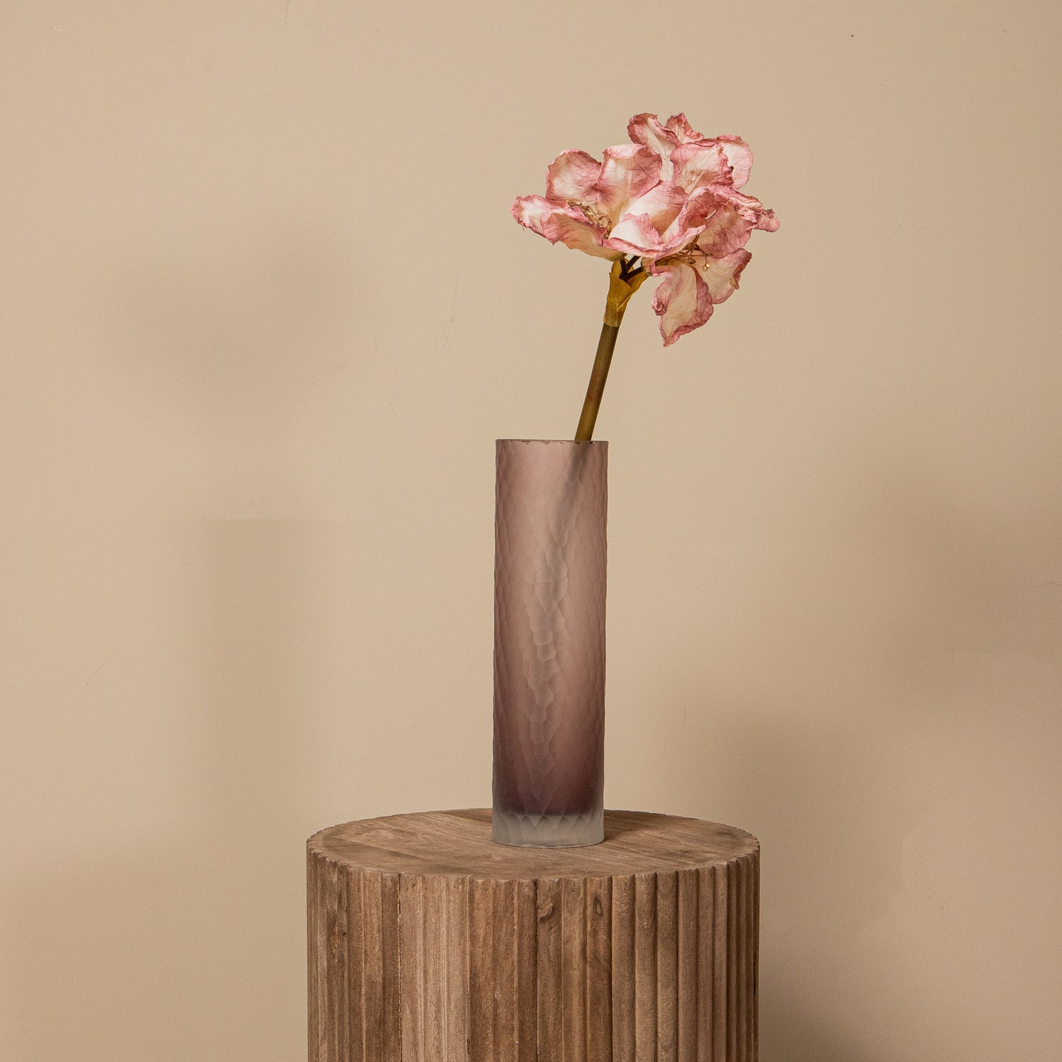Amaryllis Flower Lichtroze Amaryllis Tak - Set van 12 65x18x19 cm