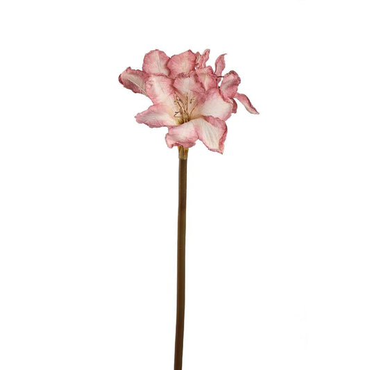 Amaryllis Flower Lichtroze Amaryllis Tak - Set van 12 65x18x19 cm