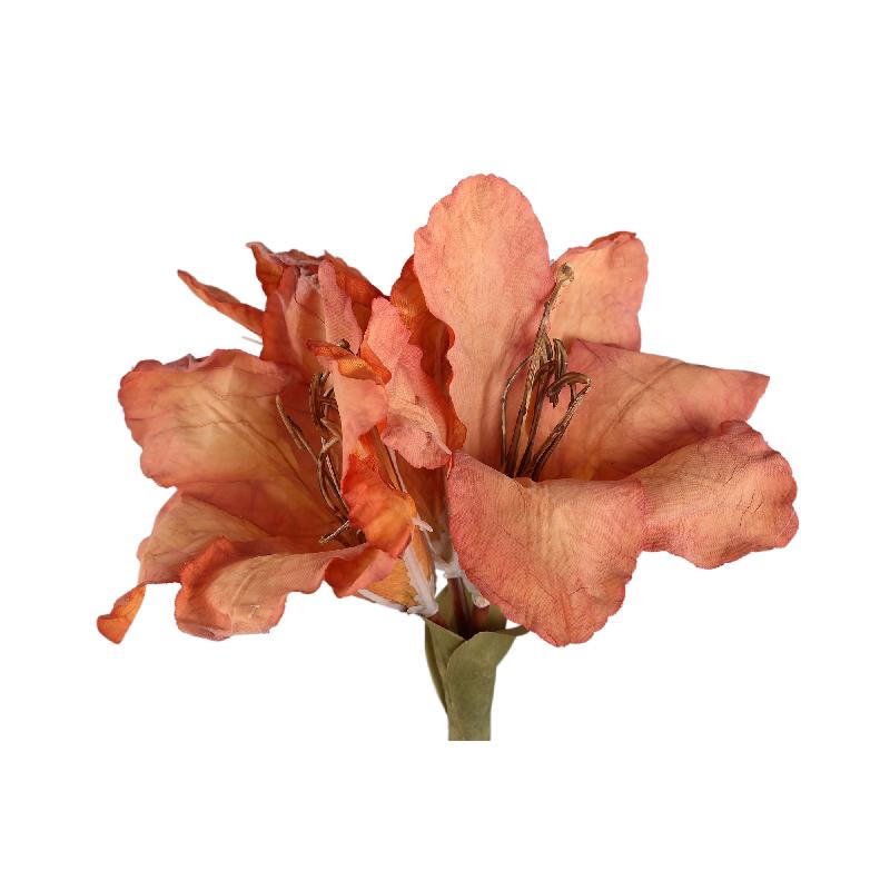 Amaryllis Bloem Oranje Amaryllis Tak - Set van 12 65x18x19 cm