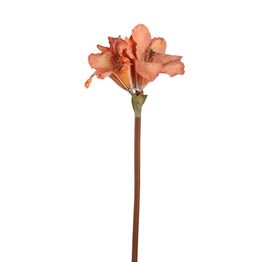 Amaryllis Bloem Oranje Amaryllis Tak - Set van 12 65x18x19 cm