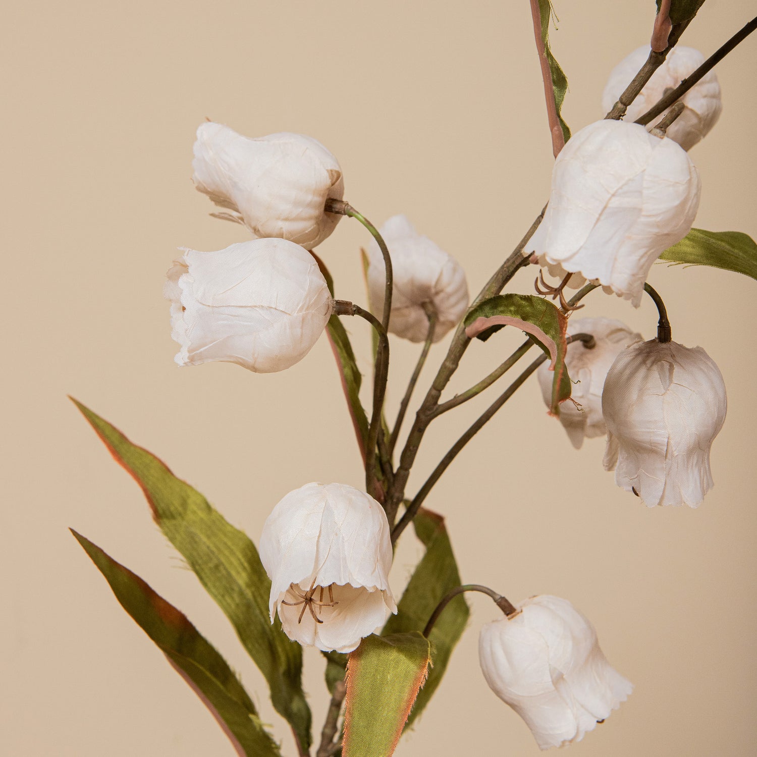Garden Flower Crème Sandersonia Bloementak - Set van 12 99x49x22 cm