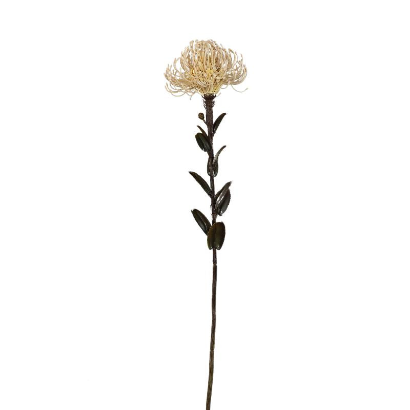 Garden Flower Nutan Crème Stengel - Set van 12 60x27x12 cm
