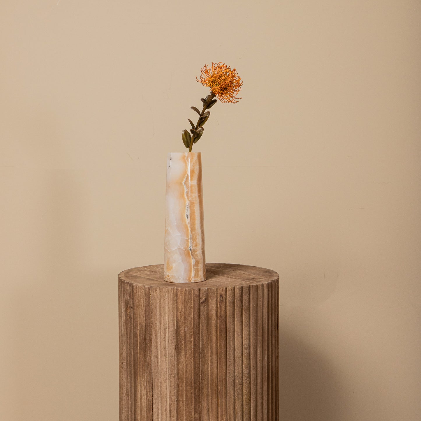 Garden Flower Nutan Kameel Stengel - Set van 12 60x27x12 cm
