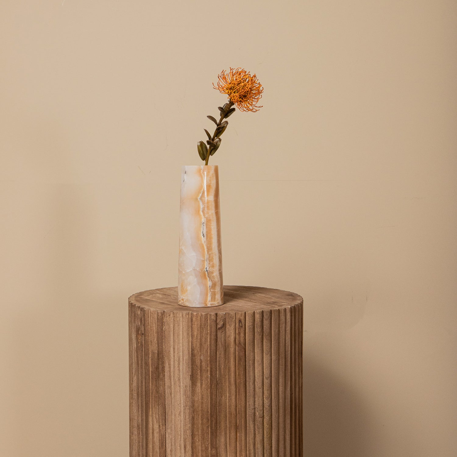 Garden Flower Nutan Kameel Stengel - Set van 12 60x27x12 cm