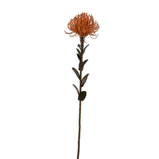 Garden Flower Nutan Kameel Stengel - Set van 12 60x27x12 cm