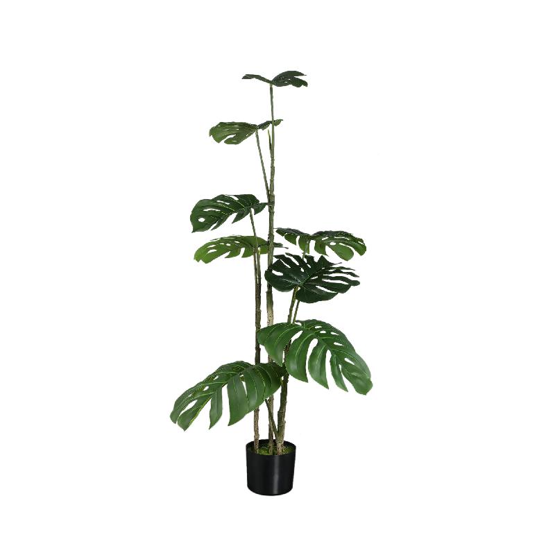 Tree Groen Monstera Plant S 120x82x82 cm