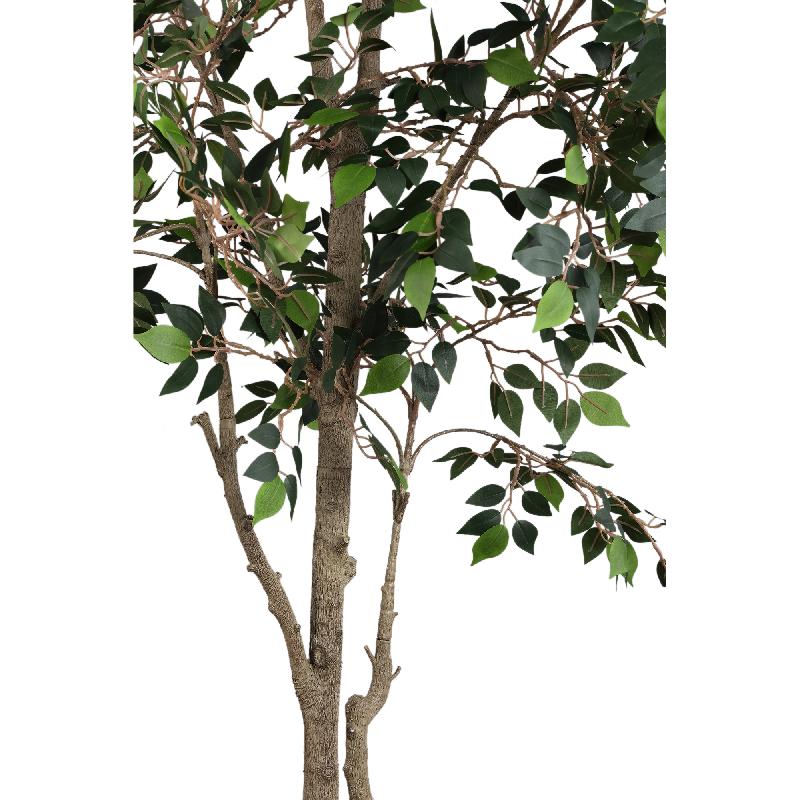Tree Green Ficus Benjamina Plant 185x90x90 cm