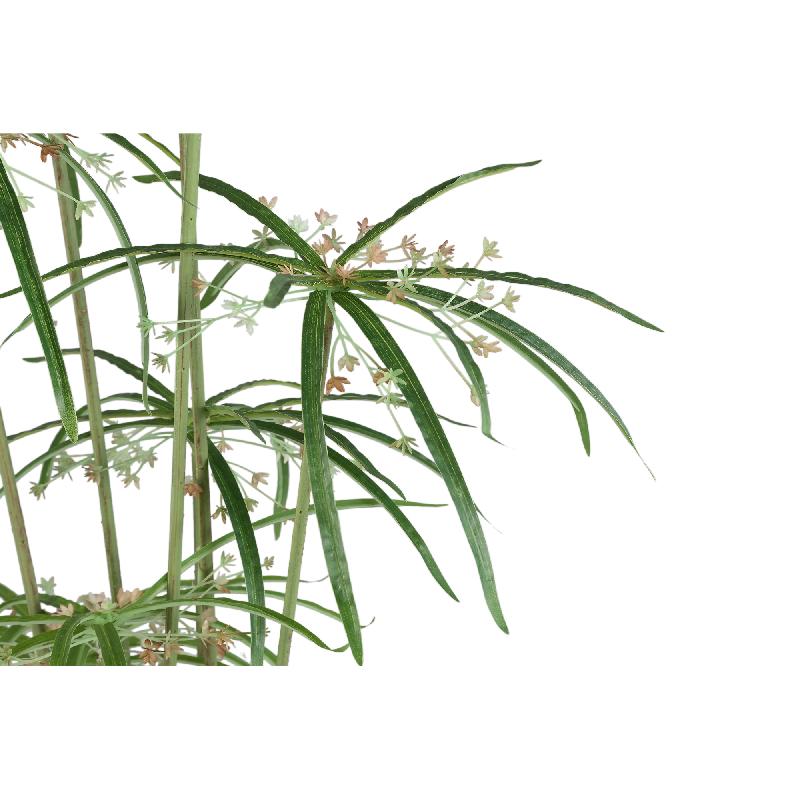 Leaves Plant Groene Papyrus Plant In Pot 90x46x46 cm