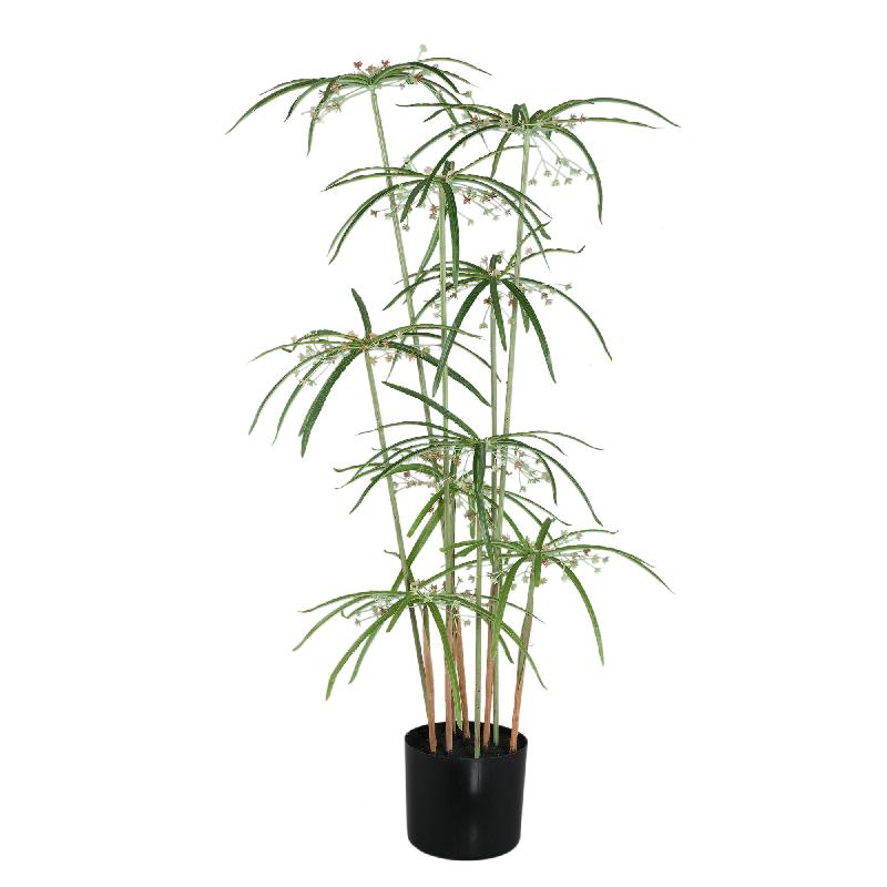 Leaves Plant Groene Papyrus Plant In Pot 90x46x46 cm