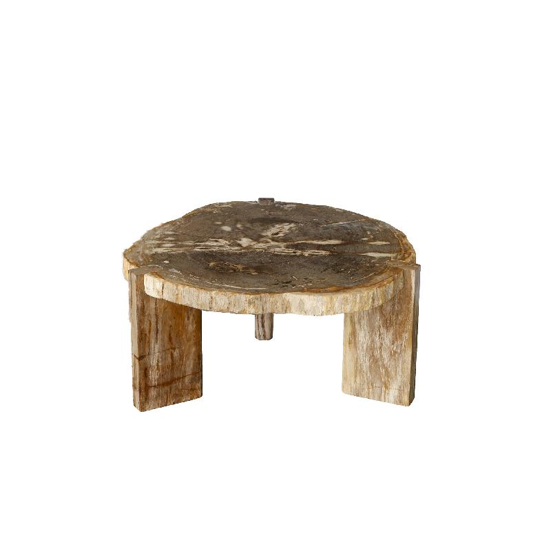 Kayo Natuurlijke Versteende Hout Koffietafel Op 3 Poten Hoog 40x75x85 cm