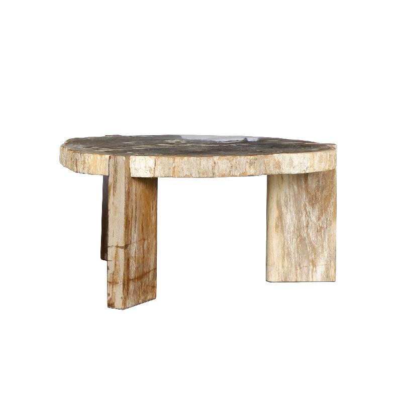 Kayo Natuurlijke Versteende Hout Koffietafel Op 3 Poten Hoog 40x75x85 cm