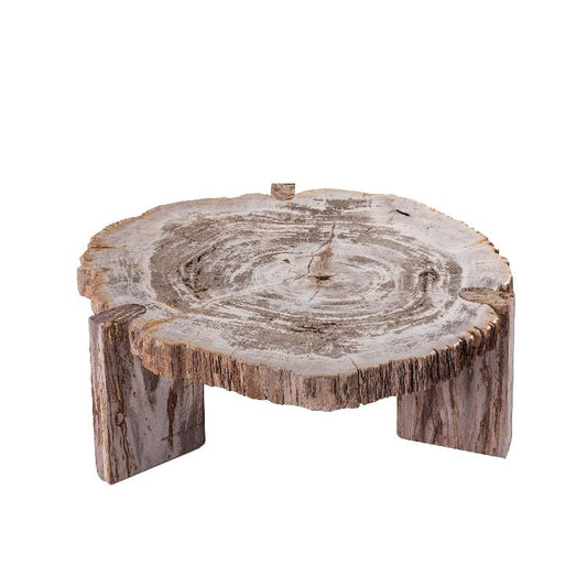 Kayo Natuurlijke Versteende Hout Lage Koffietafel Met 3 Poten 30x75x85 cm