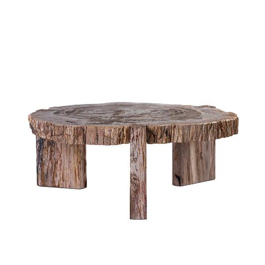 Kayo Natuurlijke Versteende Hout Lage Koffietafel Met 3 Poten 30x75x85 cm
