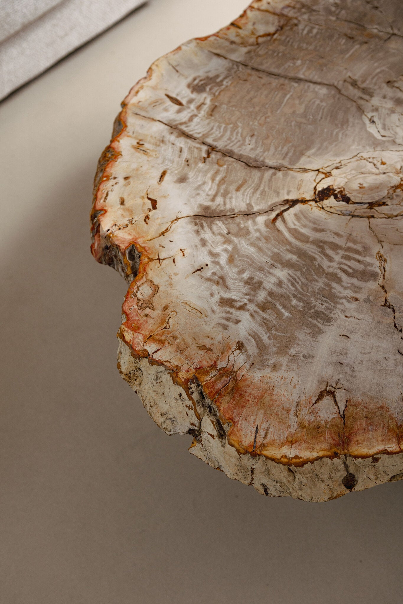 Yoel Natuurlijke Versteend Hout Koffietafel met Messing Onderstel 42x100x120 cm