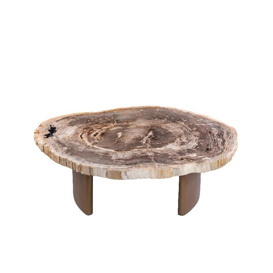 Yoel Natuurlijke Versteend Hout Koffietafel met Messing Onderstel 42x100x120 cm