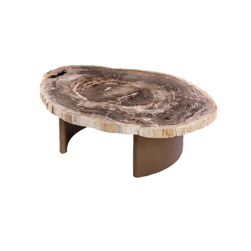 Yoel Natuurlijke Versteend Hout Koffietafel met Messing Onderstel 42x100x120 cm